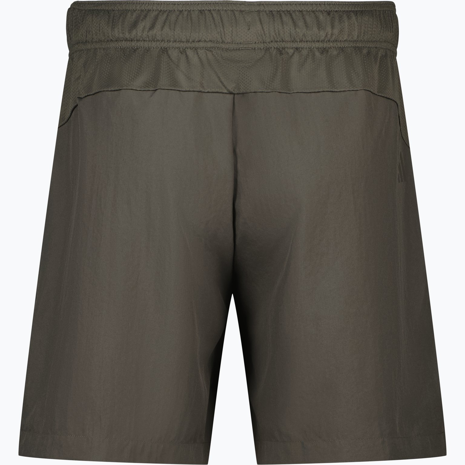 adidas Big Logo M shorts Grön