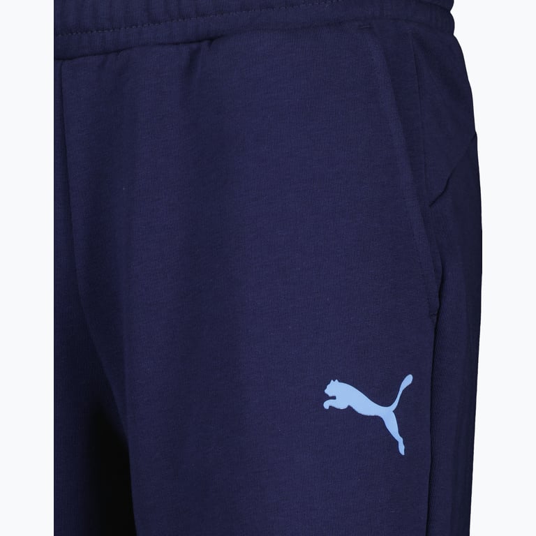 Puma Manchester City Essential shorts Blå