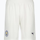 förhandsvisning ikon 1 för Puma Manchester City FC 23/24 M träningsshorts Vit