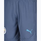 förhandsvisning ikon 3 för Puma Manchester City Training träningsshorts Blå