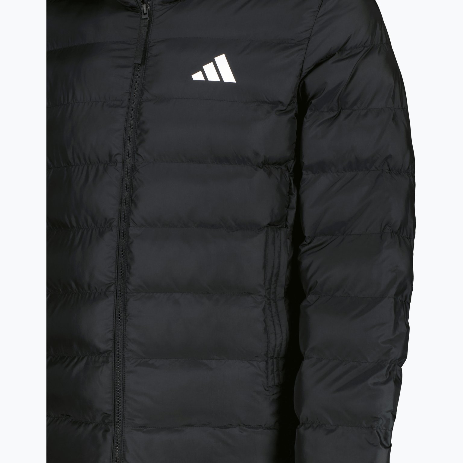 adidas SDP Insulated M vinterjacka Svart