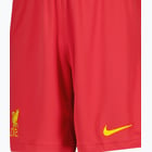 förhandsvisning ikon 3 för Nike Liverpool FC Home 24/25 M träningsshorts Röd