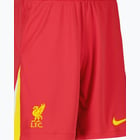 förhandsvisning ikon 4 för Nike Liverpool FC Home 24/25 M träningsshorts Röd