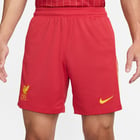 förhandsvisning ikon 6 för Nike Liverpool FC Home 24/25 M träningsshorts Röd