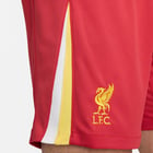 förhandsvisning ikon 8 för Nike Liverpool FC Home 24/25 M träningsshorts Röd