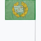 förhandsvisning ikon 2 för Hammarby FLAGGA 30x45cm med pinne Grön