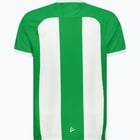 förhandsvisning ikon 2 för Hammarby HAMMARBY 24 REPLICA PRE SEASON JERSEY JR Grön