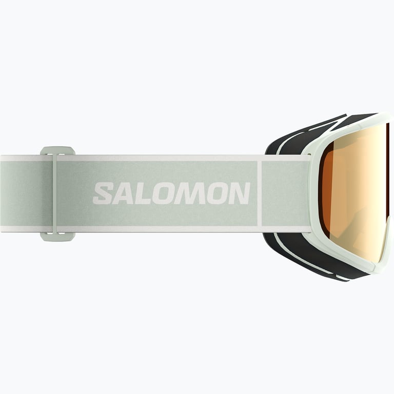 Salomon Aksium 2.0 skidglasögon Grön