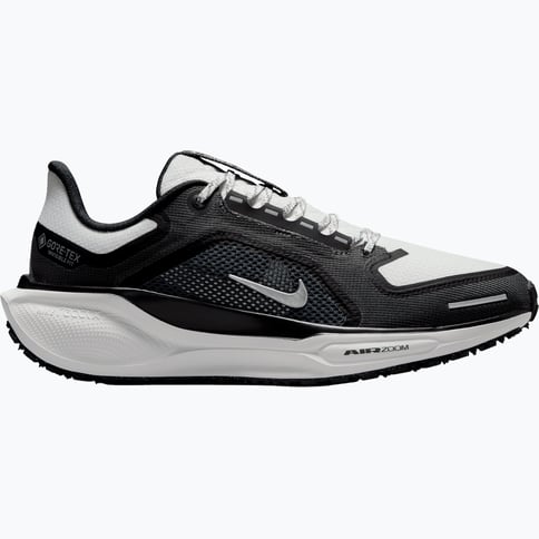 Nike Pegasus 41 Gore-Tex W löparskor Flerfärgad