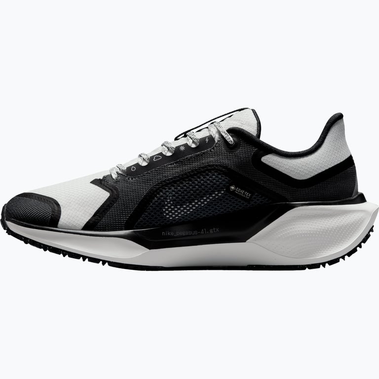 Nike Pegasus 41 Gore-Tex W löparskor Flerfärgad