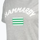 förhandsvisning ikon 3 för Hammarby  FLAG T-SHIRT W Grå