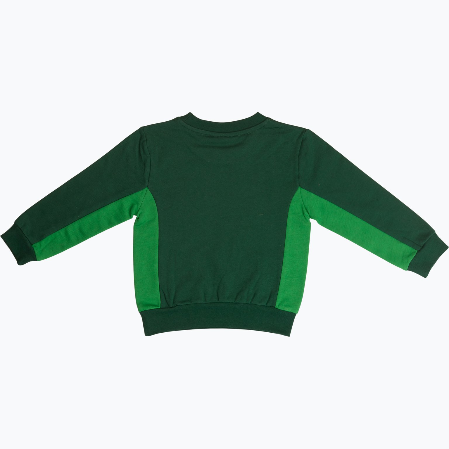 Hammarby 24 SWEATSHIRT MR Grön