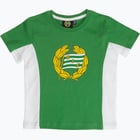 färgalternativ för Grön Hammarby 24 T-SHIRT MR