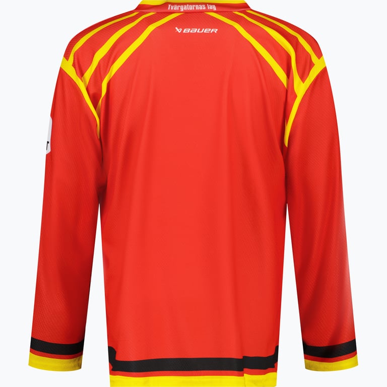 Brynäs IF REPLICA BASIC 24/25 SR Röd