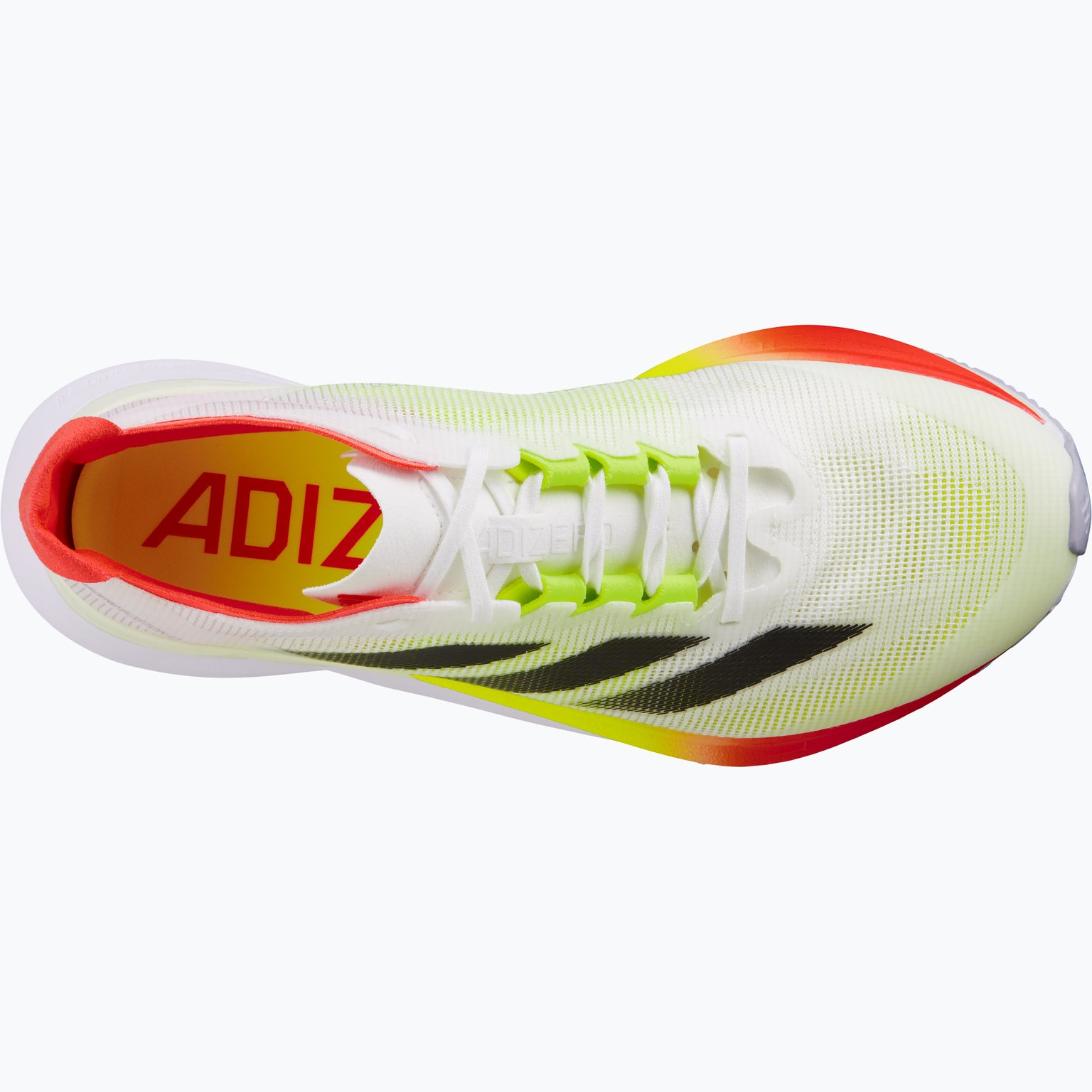 adidas Adizero Boston 12 W löparskor Vit