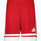 färgalternativ för Röd adidas Squadra 25 M träningsshorts