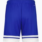 förhandsvisning ikon 2 för adidas Squadra 25 M shorts Blå