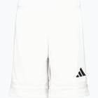 färgalternativ för Vit adidas Squadra 25 Jr shorts