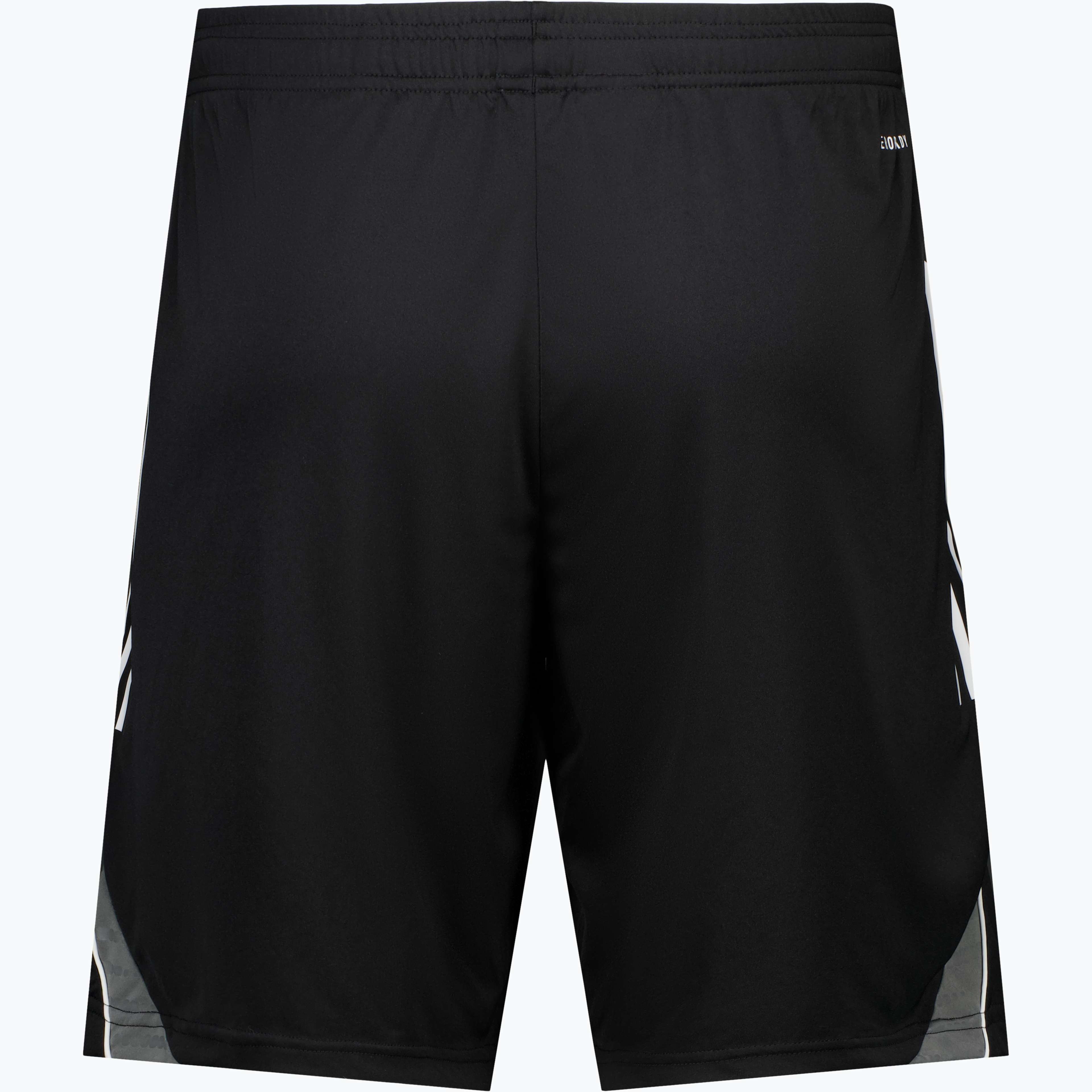 Tiro 25 C TR träningsshorts
