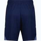 förhandsvisning ikon 2 för adidas Tiro 25 C TR träningsshorts Blå