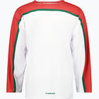 förhandsvisning ikon 2 för Frölunda Hockey REPLICA BASIC BLANK 24/25 SR Vit