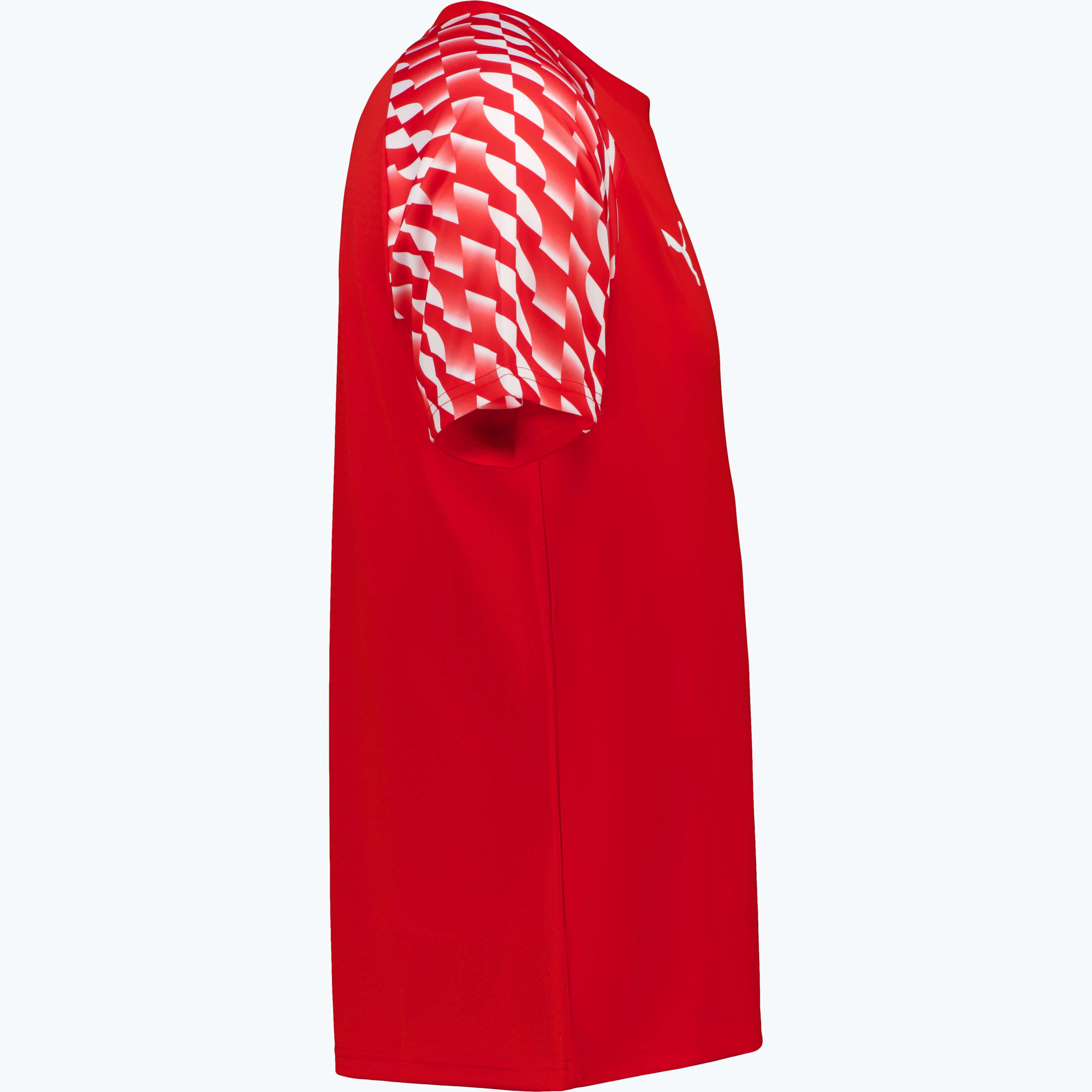 teamLiga 26 M träningst-shirt