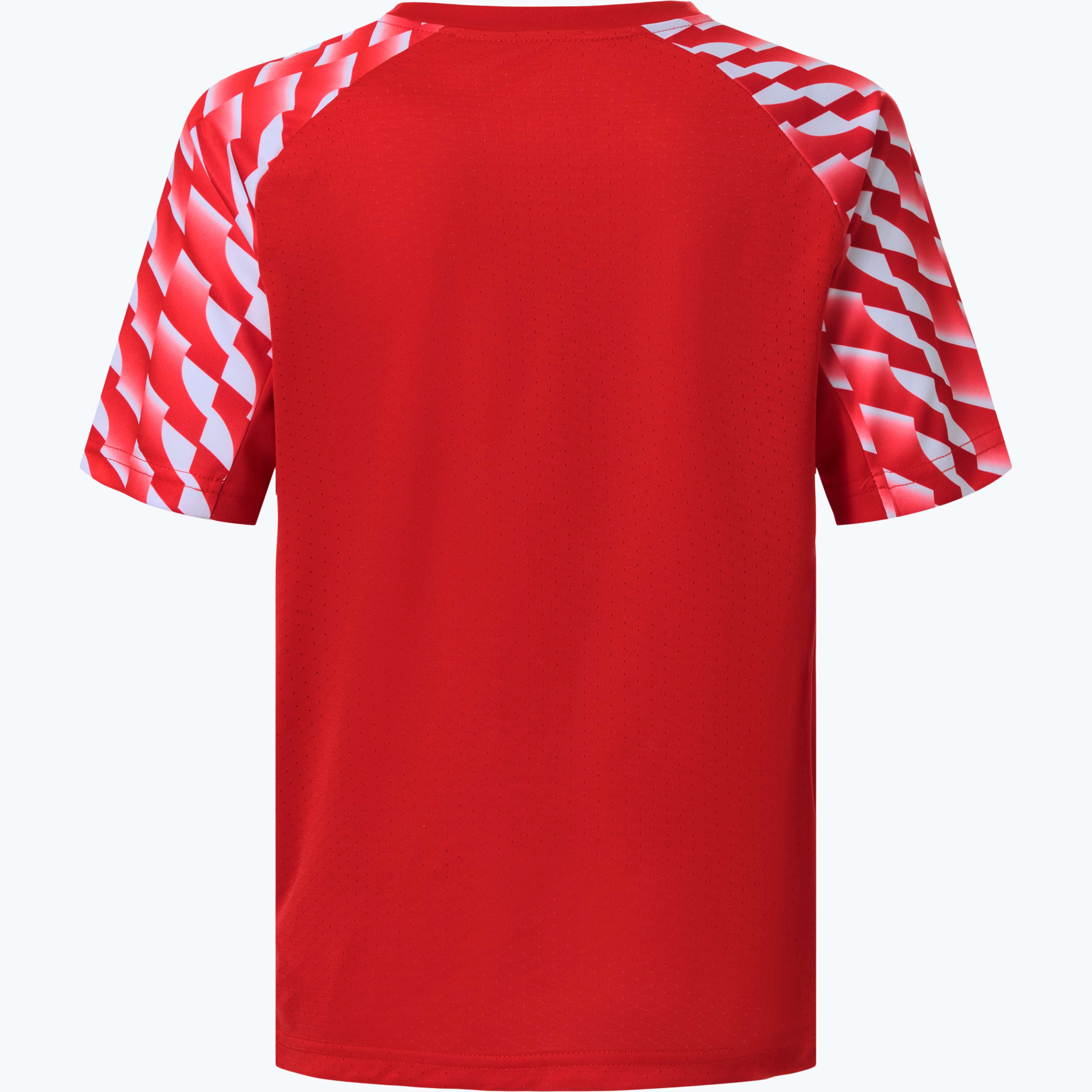 teamLiga 26 JR träningst-shirt