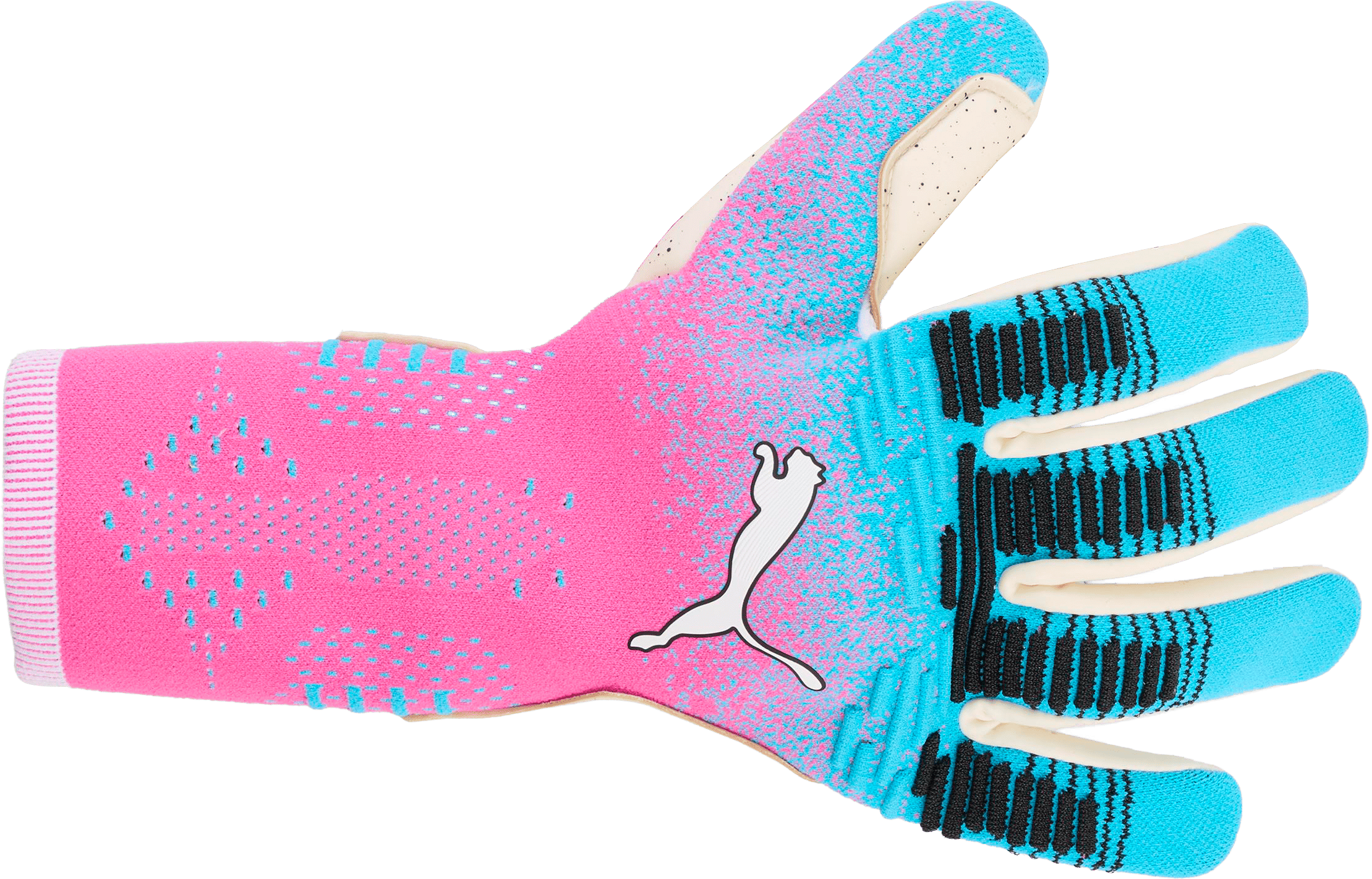 Puma Future Ultimate NC målvaktshandskar
