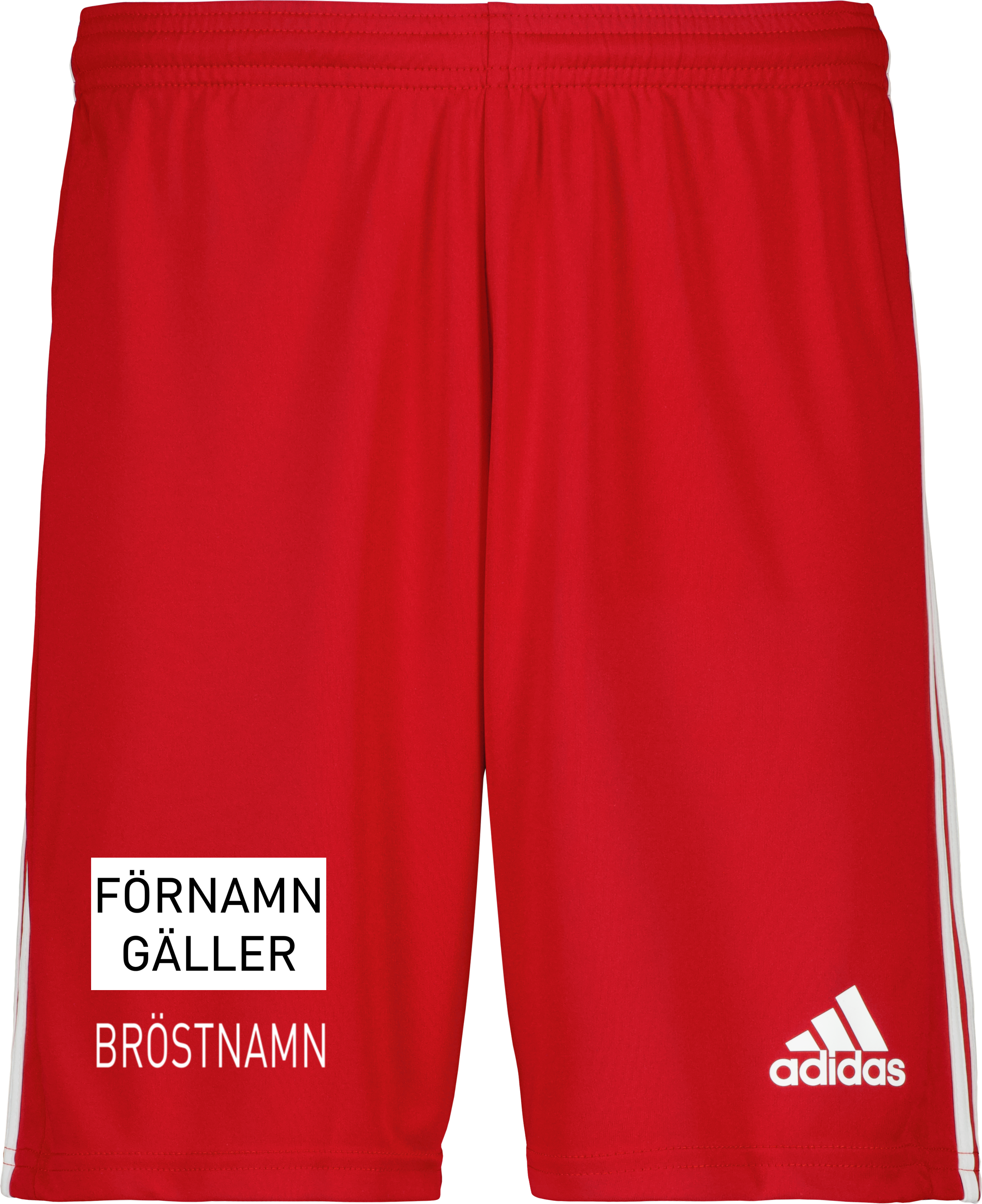 adidas Squadra 21 Jr Shorts