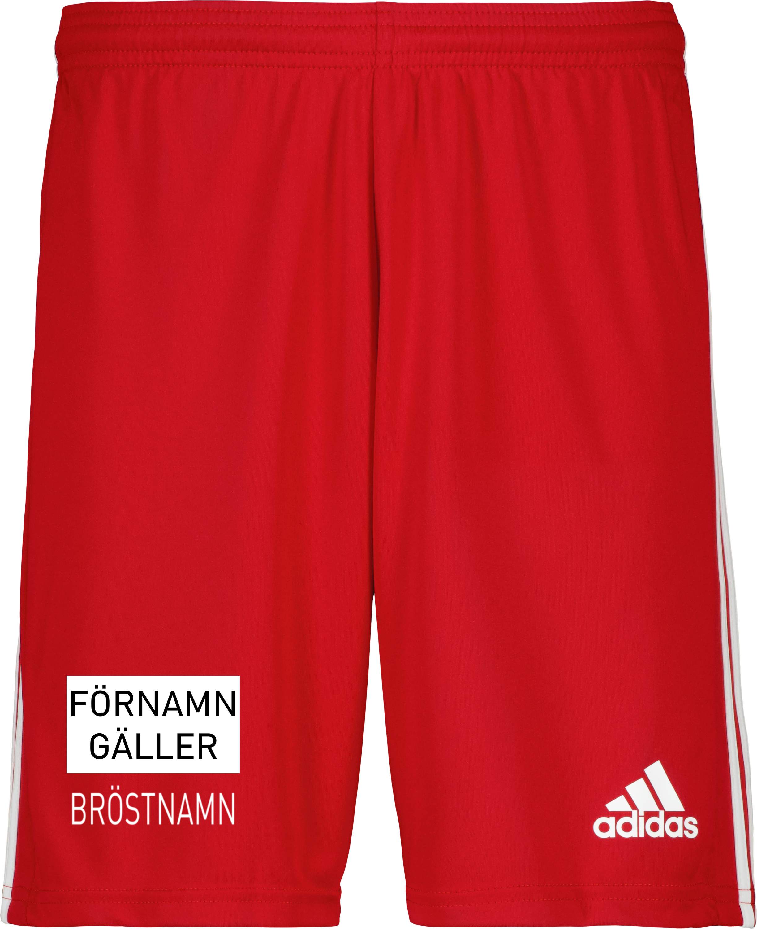 adidas Squadra 21 Shorts