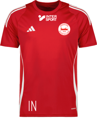 adidas Tiro 24 jr t-shirt