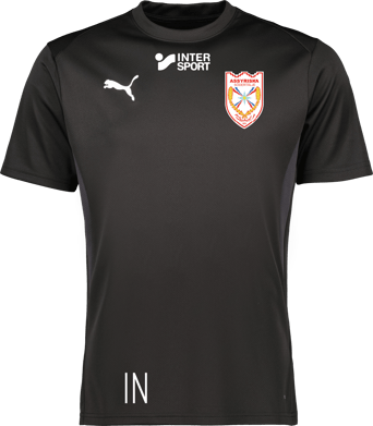 Puma teamGOAL Jersey 