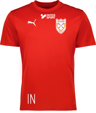 Puma teamGOAL Jersey Jr 