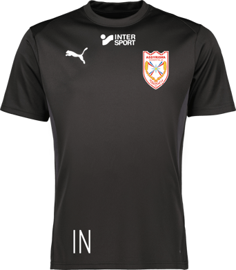 Puma teamGOAL Jersey Jr 