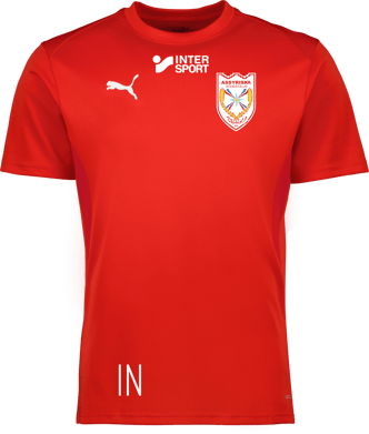 Puma teamGOAL Jersey 