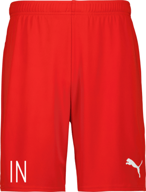 Puma teamGOAL Shorts 