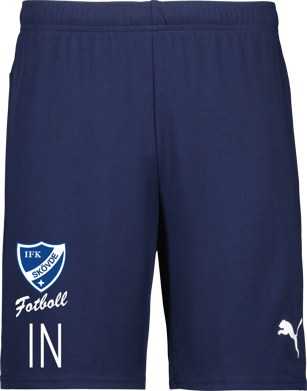 Puma teamGOAL Shorts 