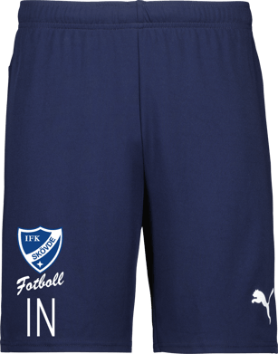 Puma teamGOAL Shorts Jr 