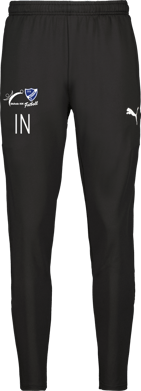 Puma teamGOAL PRO Training Pants 