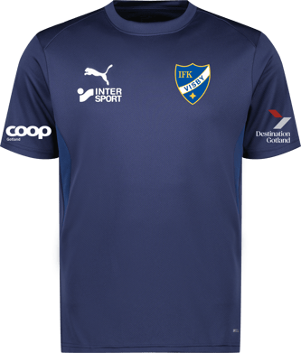 Puma teamGOAL Jersey 