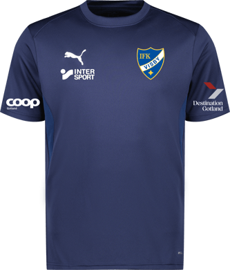 Puma teamGOAL Jersey Jr 