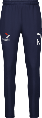 Puma teamGOAL PRO Training Pants 