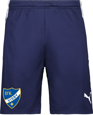 Puma TeamLIGA träningsshorts