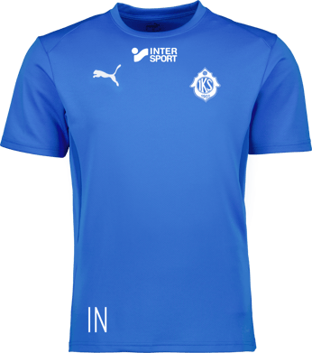 Puma teamGOAL Jersey 