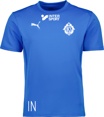 Puma teamGOAL Jersey Jr 