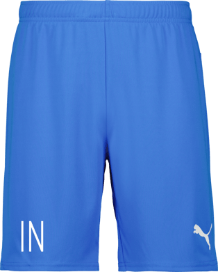 Puma teamGOAL Shorts 