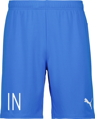 Puma teamGOAL Shorts Jr 