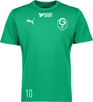 Puma teamGOAL Jersey 