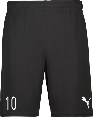 Puma teamGOAL Shorts 