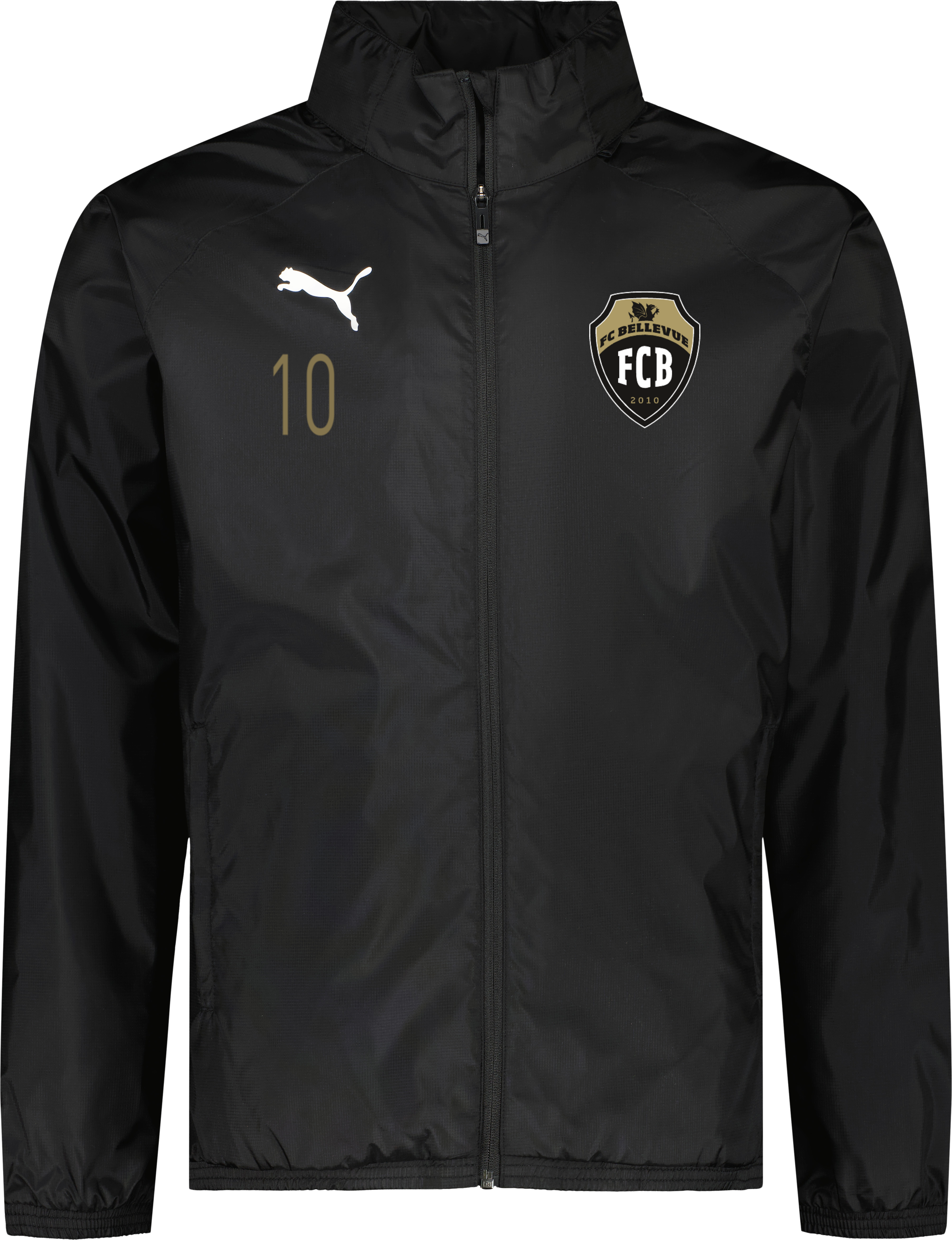 Puma teamGOAL All Weather Jacket 